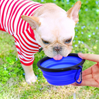 Collapsible Silicone Dog Bowl – Portable Pet Feeding Travel Bowl