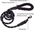 NightPaw Leash – Walk bold. Stay seen.