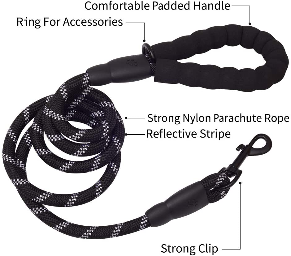 NightPaw Leash – Walk bold. Stay seen.