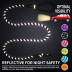 NightPaw Leash – Walk bold. Stay seen.