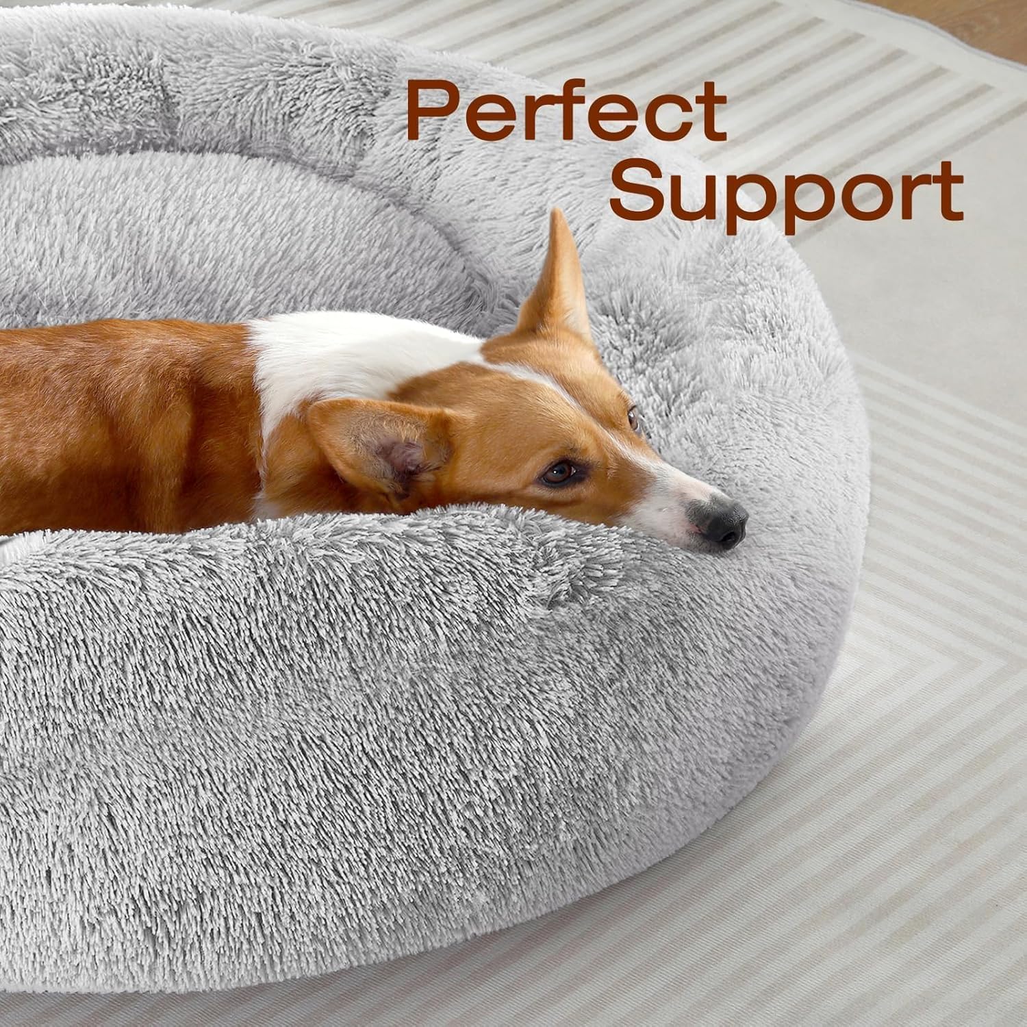Calming Orthopedic Dog Bed