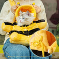 BuzzPurr Cat Carrier – Adorable, Comfy & Travel-Ready!