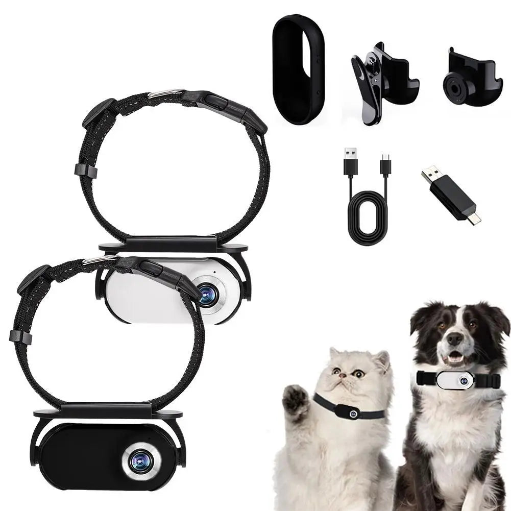 Pet Collar Camera: Capture Every Adventure