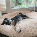 Calming Orthopedic Dog Bed